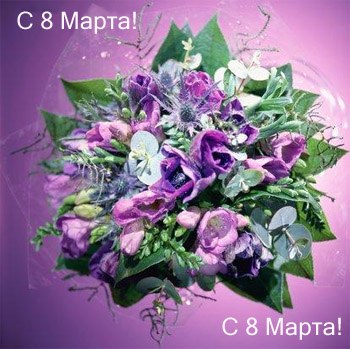 Анастасия Титова | Санкт-Петербург