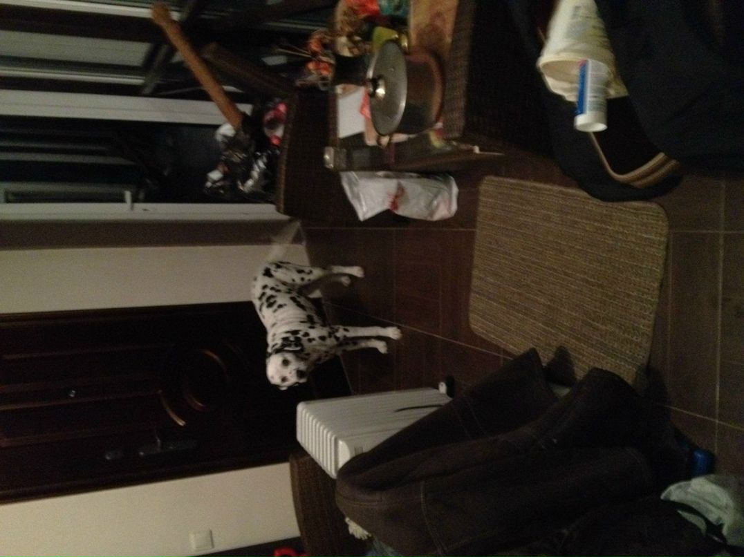 Антон Кайнов 0б0д МладШий) | Москва