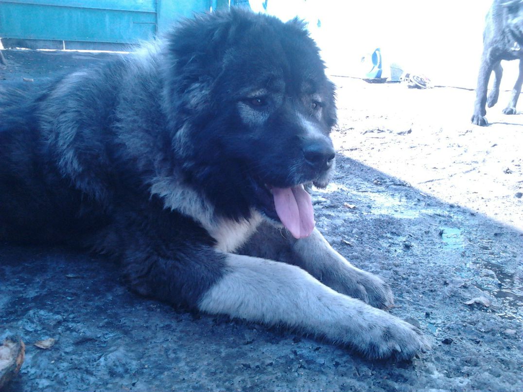 Эльвира Галецкая | Омск