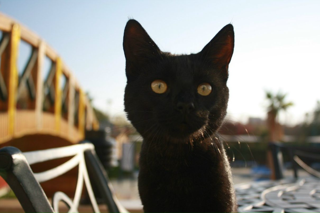 Анна Табатерова | Москва