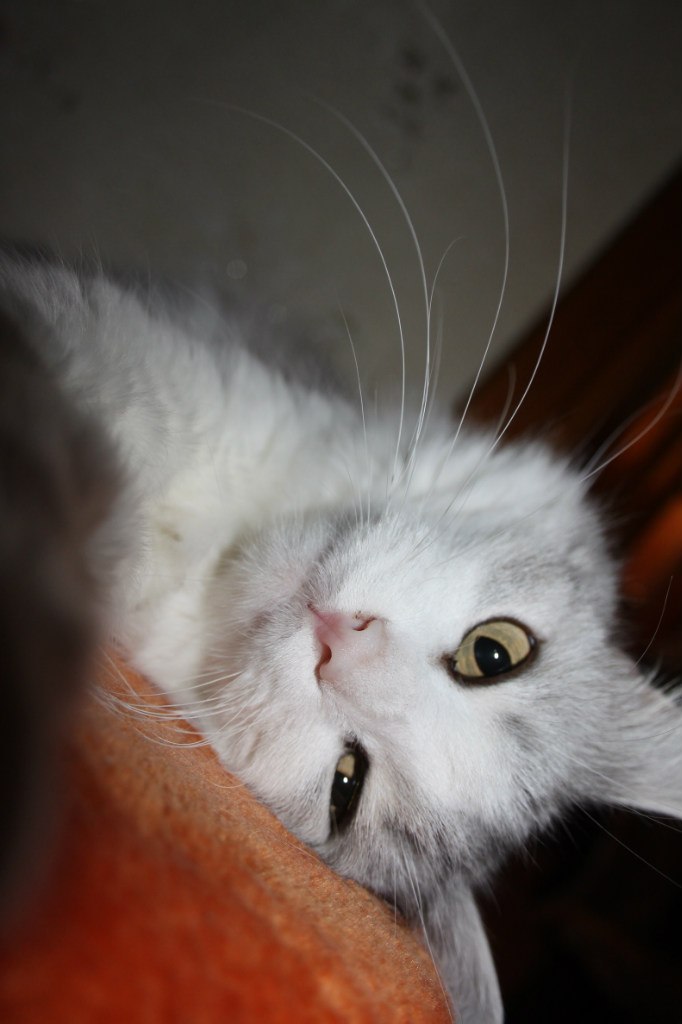 Егор Чистяков | Москва