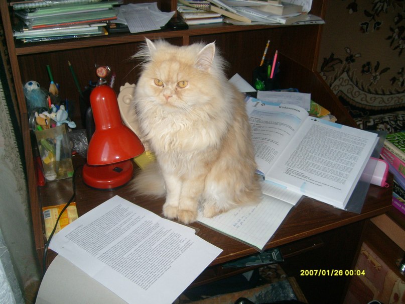 Татьяна Арефьева | Златоуст