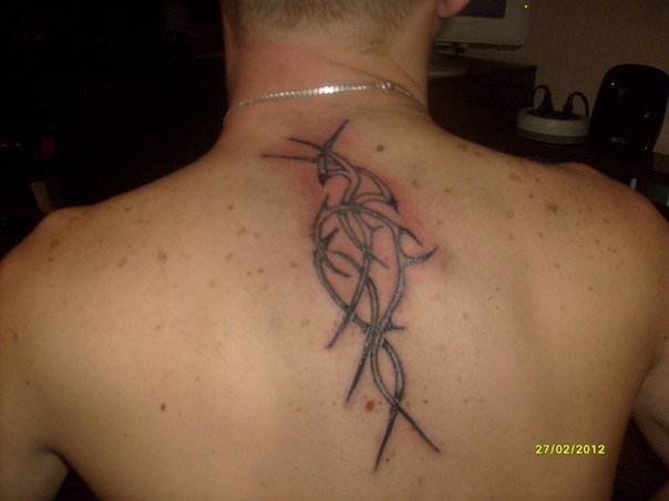 Максим Сокольников | Иловайск