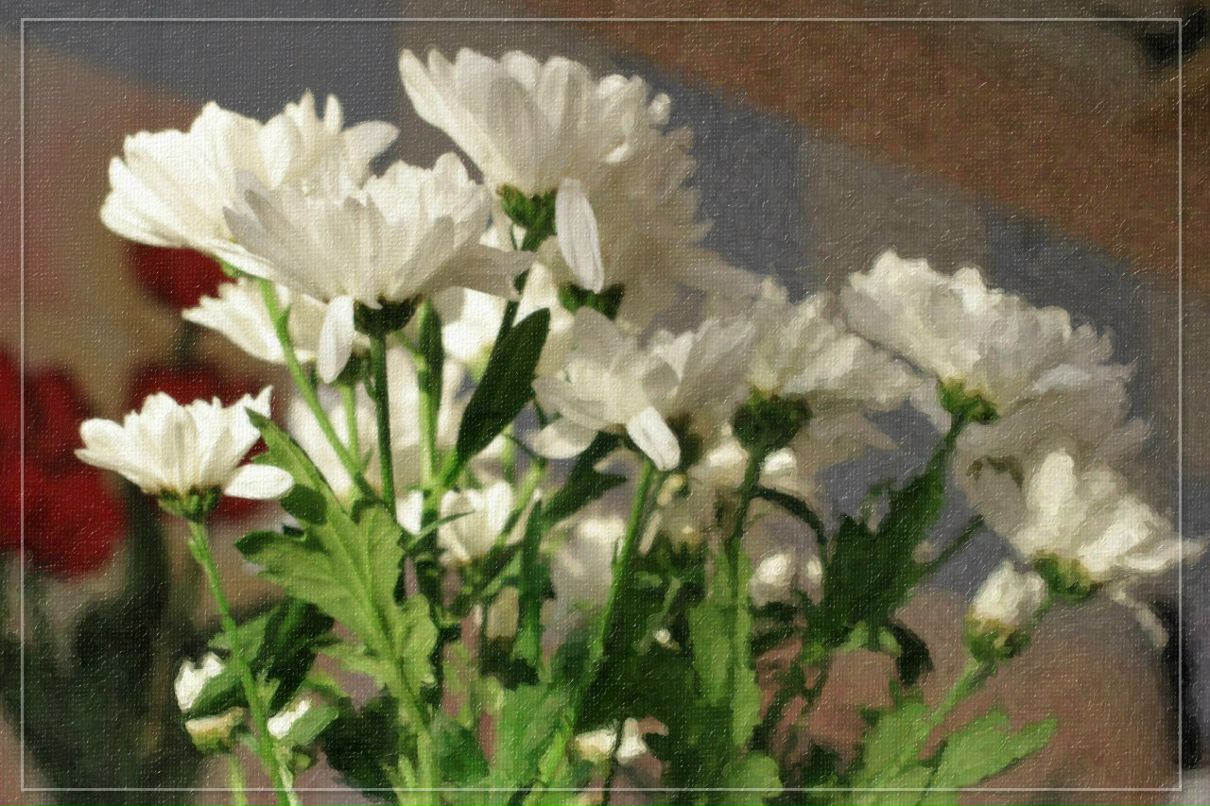 Татьяна Алексеева | 