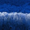 Аватар: Денис Ворбьёв