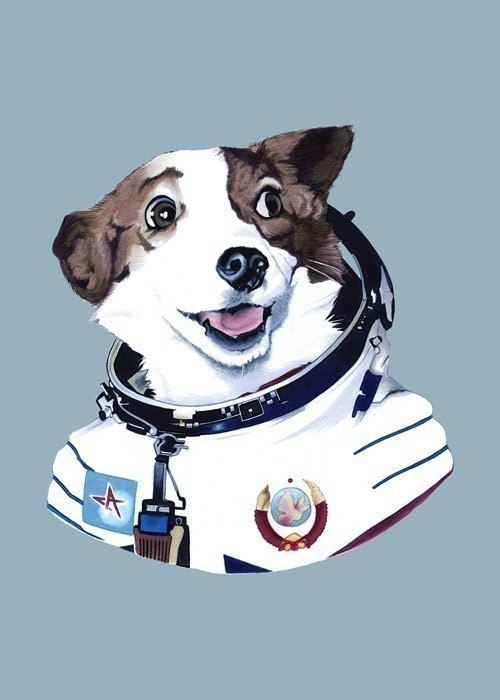 Евгений Дружков Drug | Рыбинск