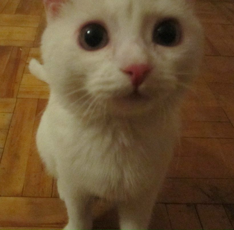 Елена Михеева | Тюмень