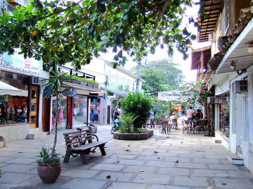 Xenia Harley | Austin