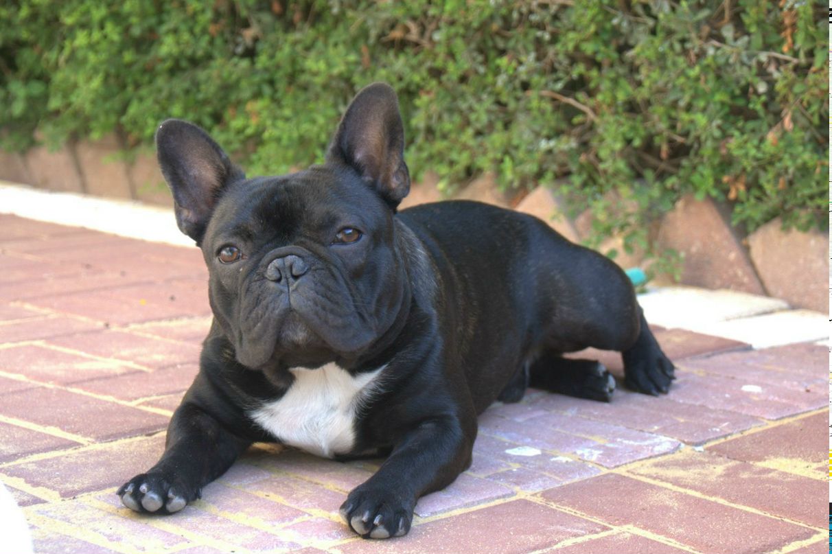 Юлия Рахлина | Санкт-Петербург