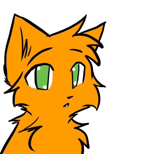 Коты воители Синяя Звезда! ВКонтакте