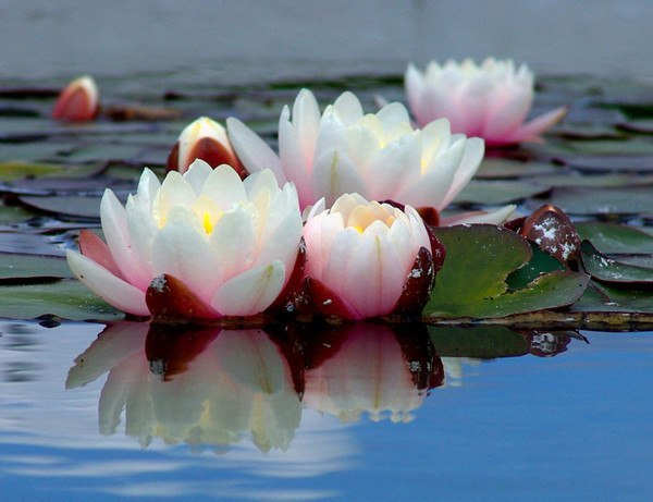 Алексей Кашкин | Пермь