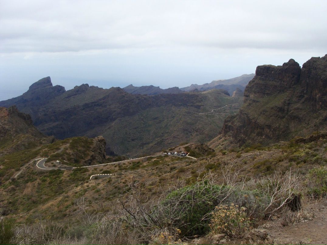 Мария Абоянцева Masher | Киев