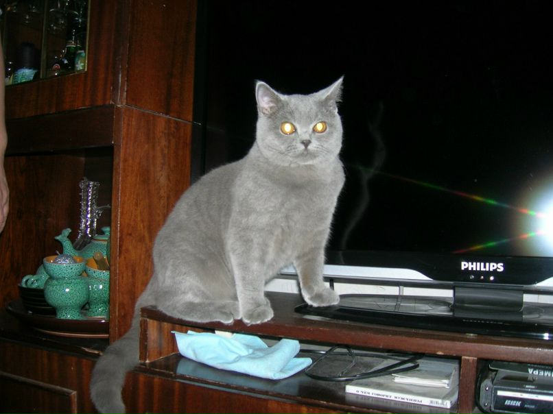 Александр Зуев | Санкт-Петербург