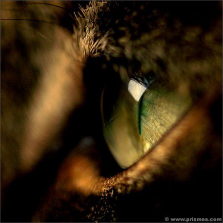 Константин Smasher KoT | Санкт-Петербург