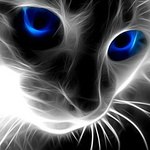 Антон Попов TOLLIA | Казань