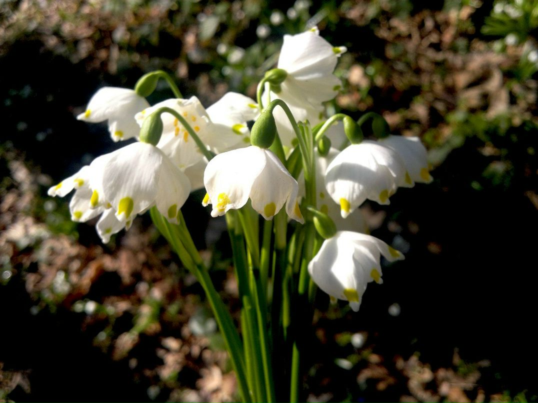 Александра Носова | Москва