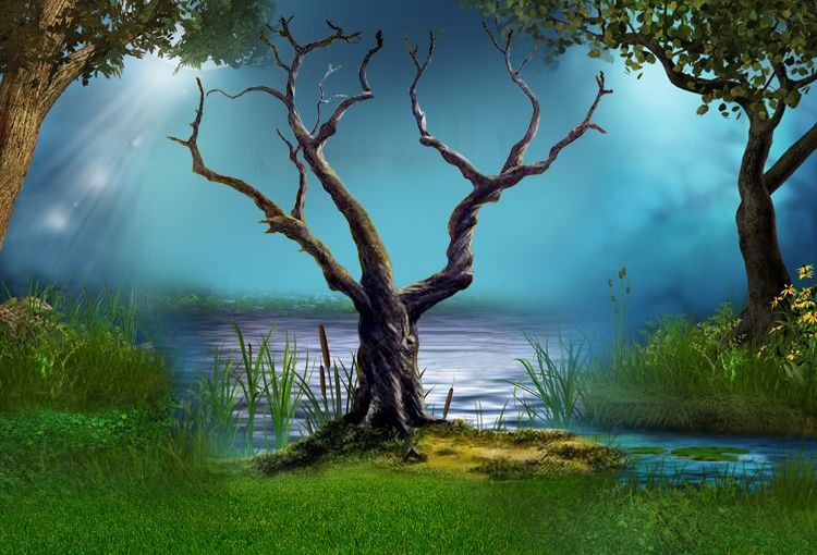 Анастасия Пестрякова | Тихвин