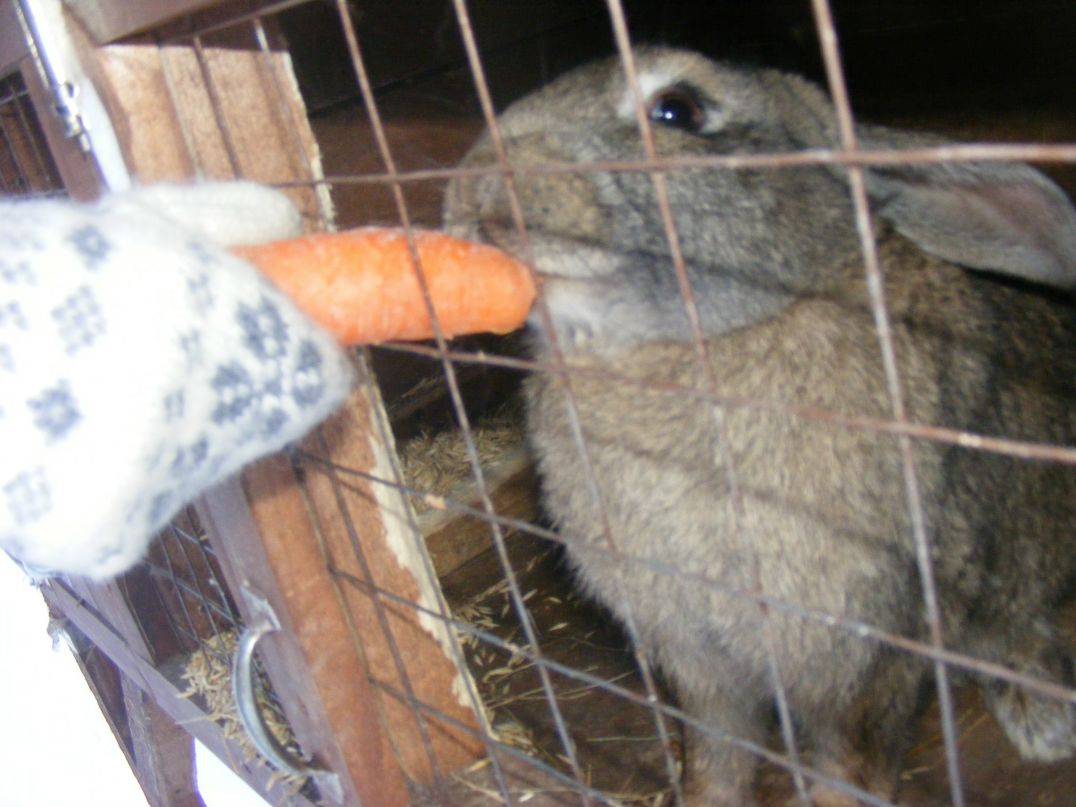 Сергей Жуков | Санкт-Петербург