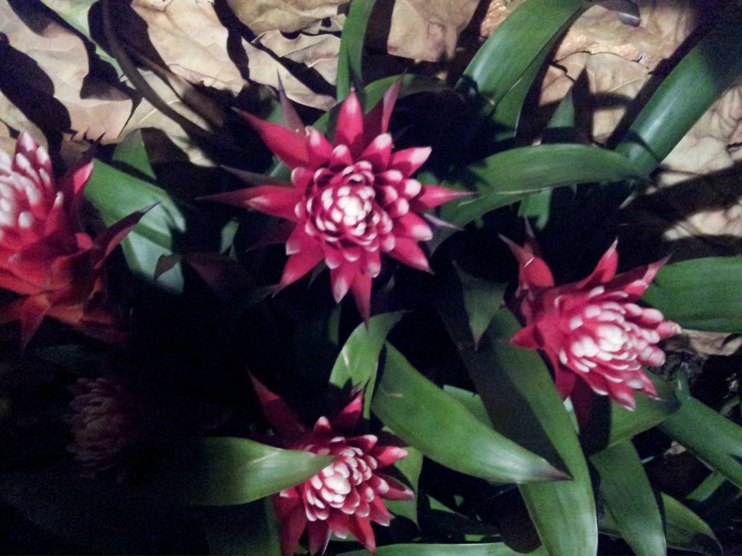 Влад Лейбензон | Хайфа