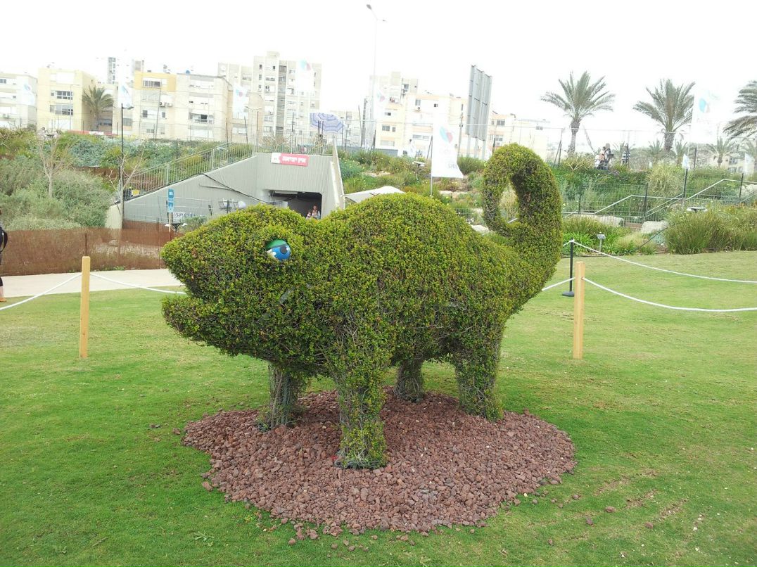 Влад Лейбензон | Хайфа