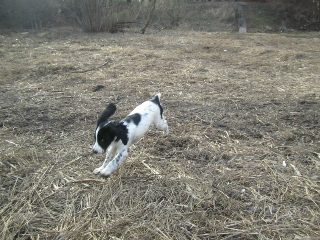 Светлана Тынчерова | 