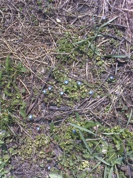 №7, Макс Пешков, 40 лет, Киев №7, Макс Пешков, 40 лет, Киев