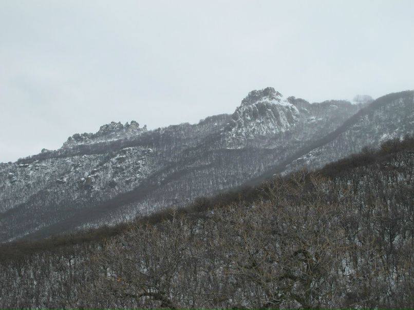 Игорь Баженов | 