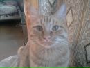 №20 Анна Деревянных 20.05.2001: профиль, фото, статус - ВКонтакте
