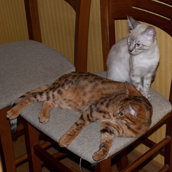 Катя Зотова | Москва