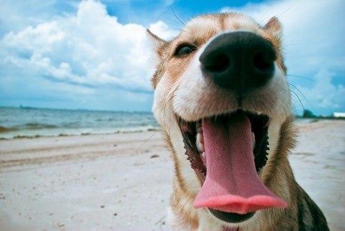 №6, Амина Халикова, Ульяновск №6, Амина Халикова, Ульяновск