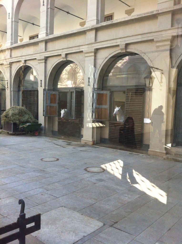 Валентин Летунов | Санкт-Петербург