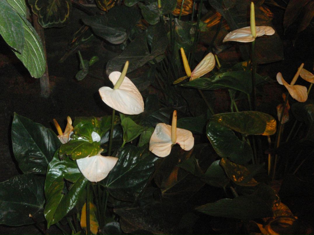 Andrey Andrey | Москва