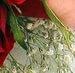 Эльза Якупова фотография #3