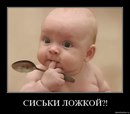 Фотография Лазарева Александра