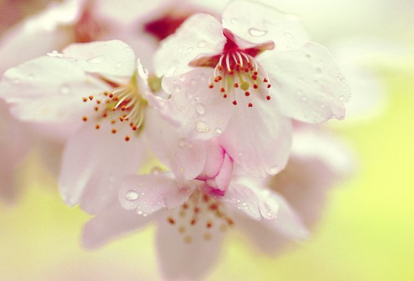 Кариночка ^^^Very Good Girl^^^ | Санкт-Петербург