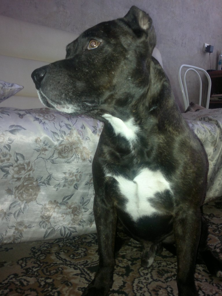 Денис Скороход | Воронеж