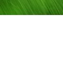 №56, Инна Бачинская, Васильков №56, Инна Бачинская, Васильков