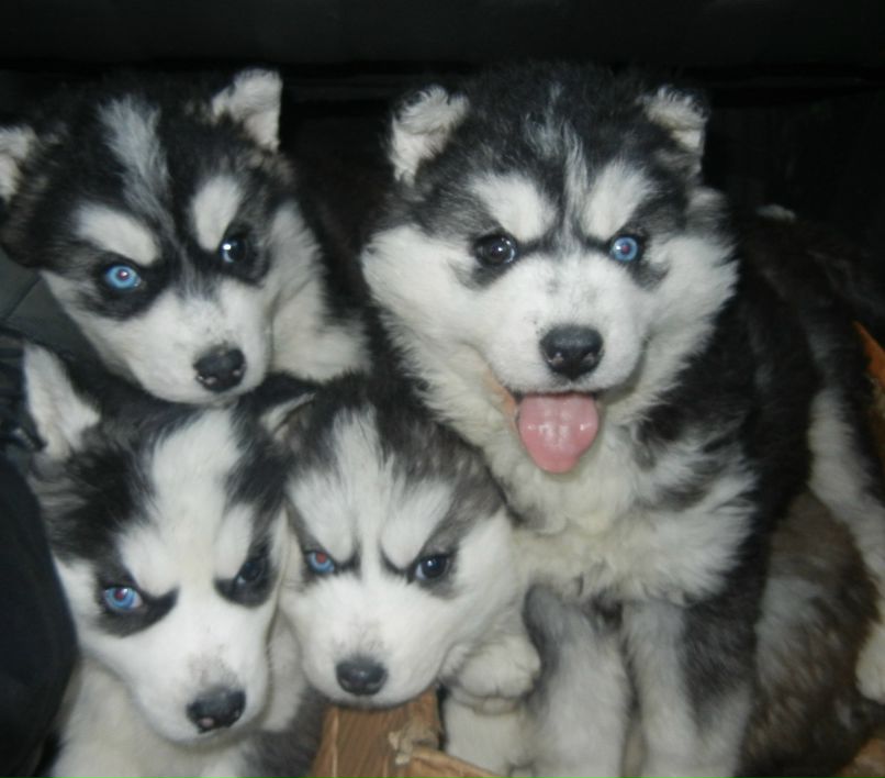 Евгений Korbolin | Оренбург