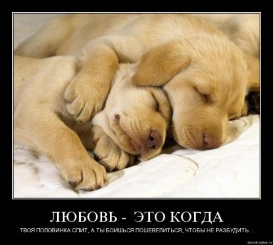 Виталий Кузьменков | Санкт-Петербург