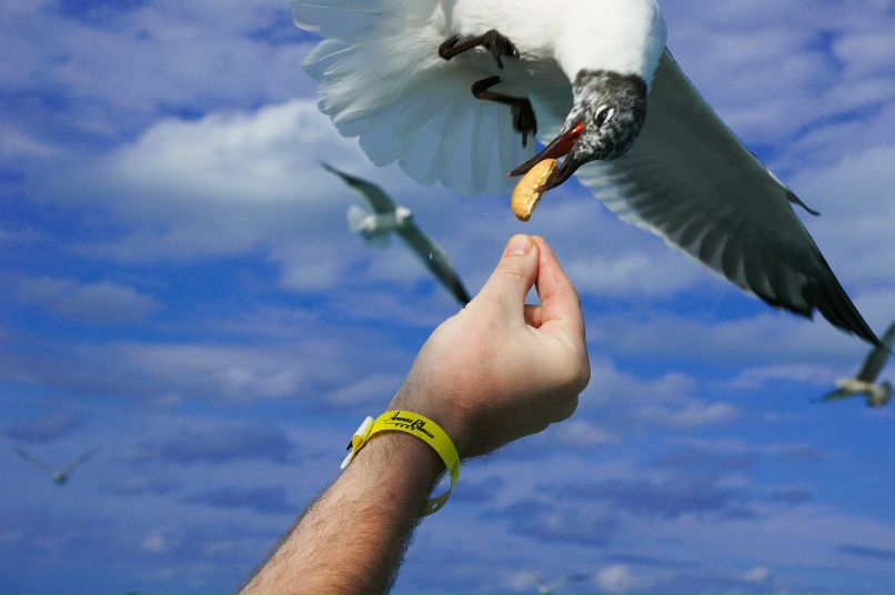 Сергей Кузовков | Тольятти