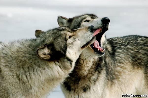 №99, Ксения Моторина, Самара, Россия №99, Ксения Моторина, Самара, Россия