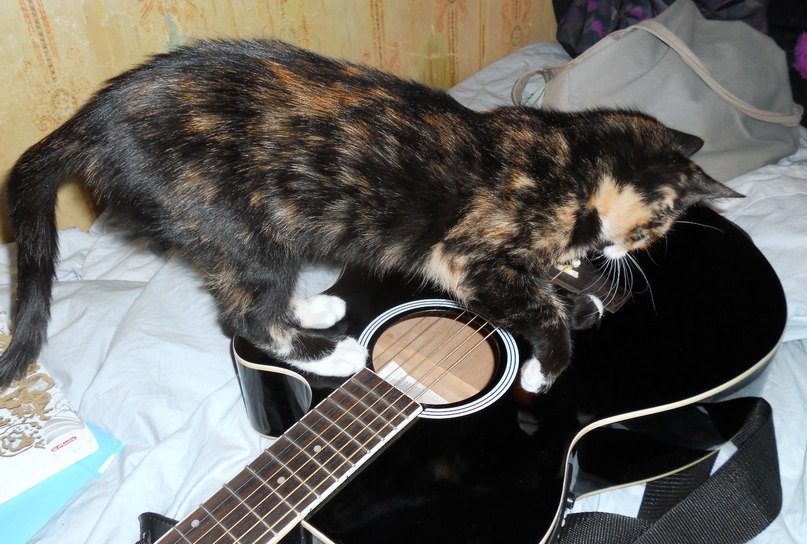 Светлана Дубкова | Рига