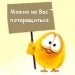 Виктор Новгородов фотография #4