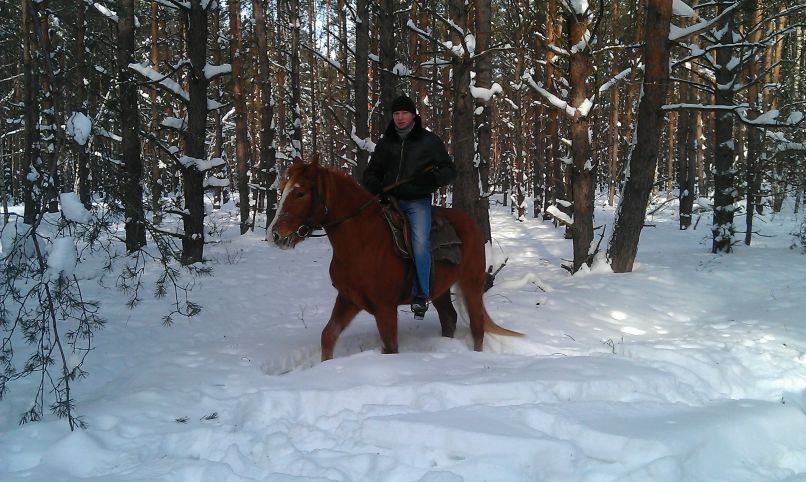 Иван Затковецкий | Покров