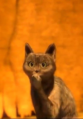 Тамара Олюшкина | Каршево