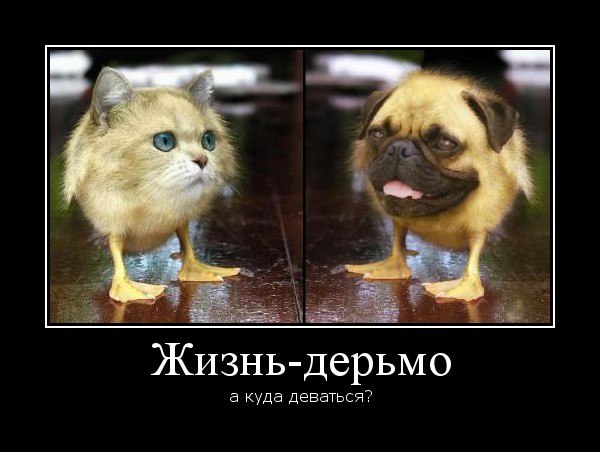 Ярик Однолько ²º¹² | Чернигов