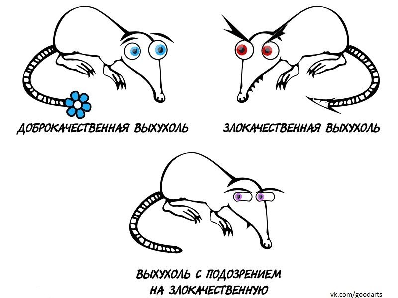 Паша Ретивой | Херсон