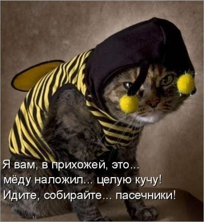 Сергей Иголкин Евгеньевич | Новозавидовский