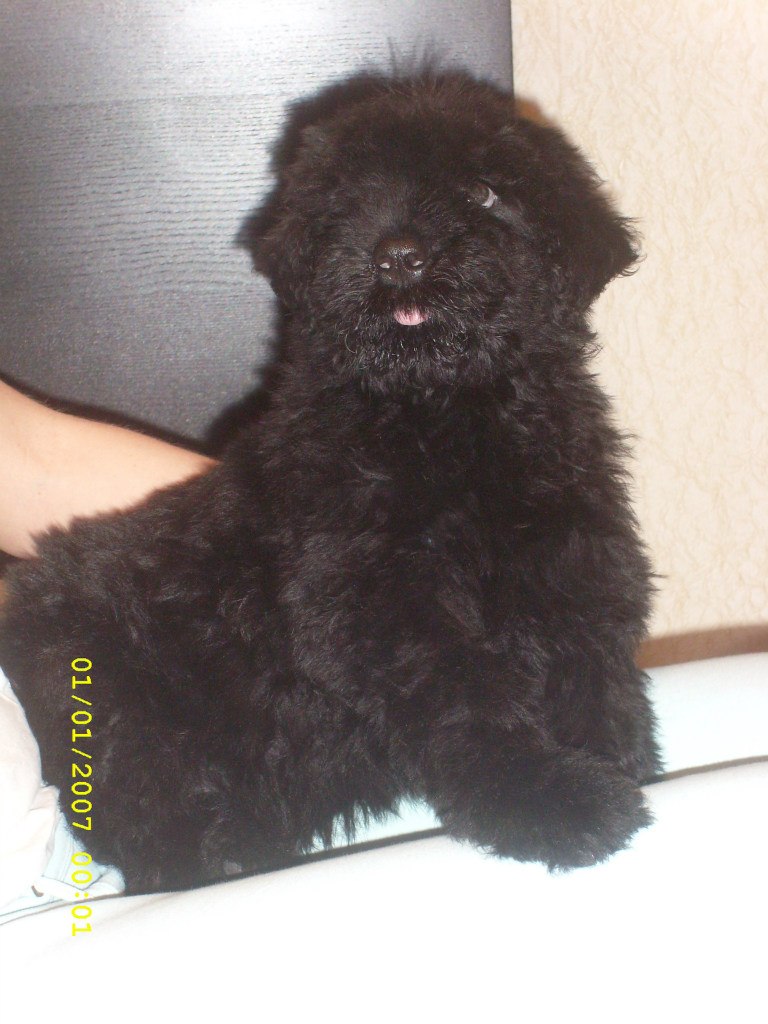 Катерина Колисниченко | Москва