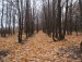 Юлия Лукина фотография #37 (источник - https://vk.com/id1893590)